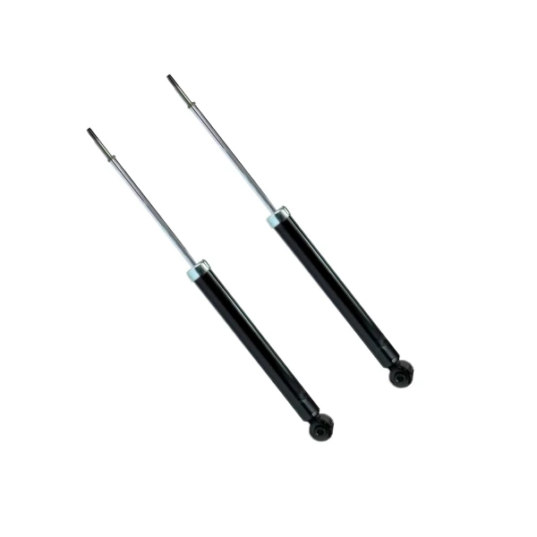 Amortiguadores Traseros FAW D60 (par)